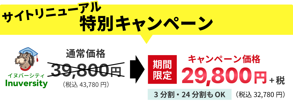 サイトリニューアル特別キャンペーン実施中！