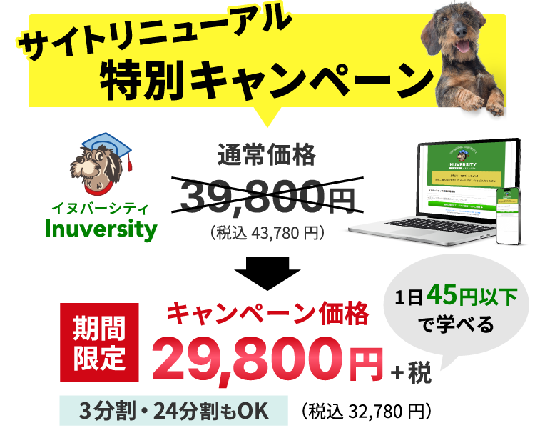 サイトリニューアル特別キャンペーン実施中！