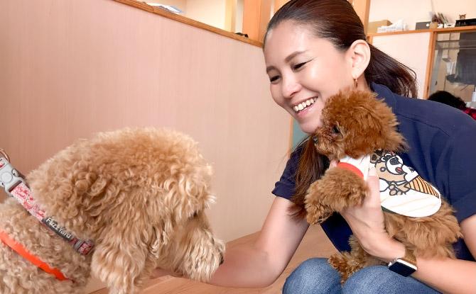 飯嶋 志帆プロフィール