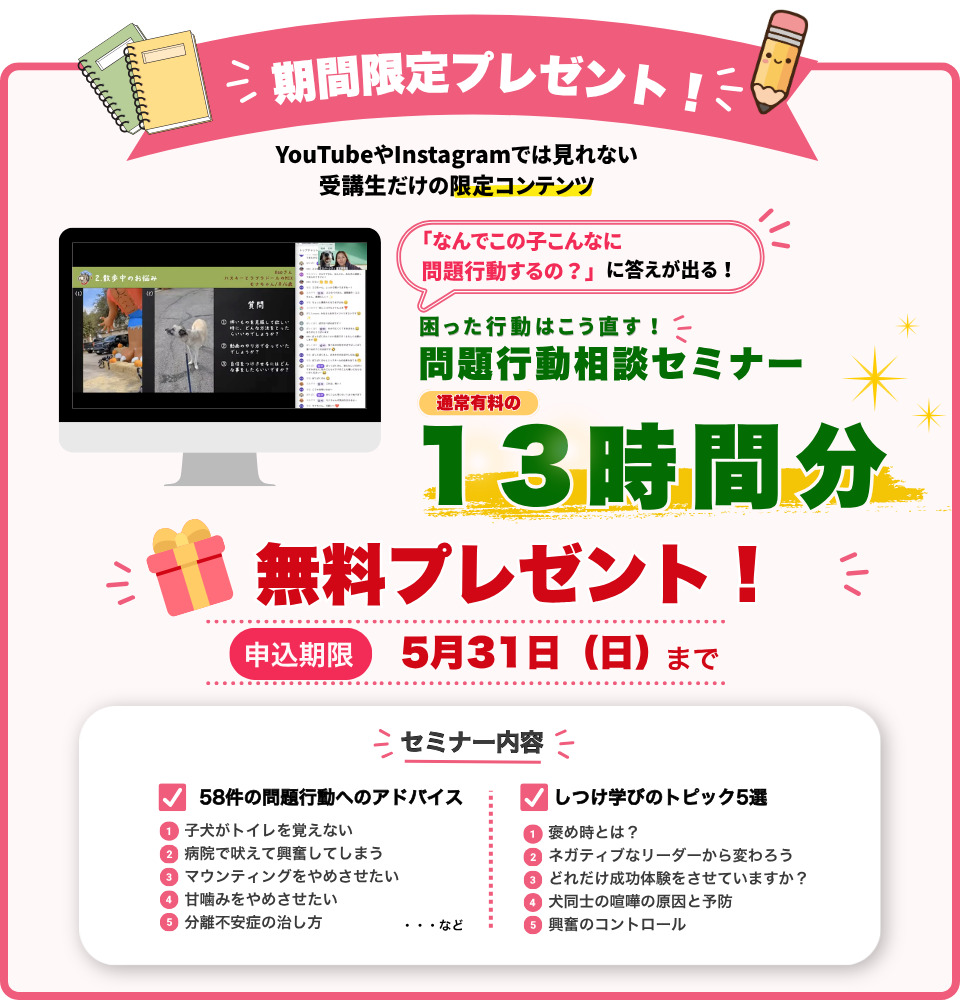 わんこと春支度キャンペーン：2026年2月28日（土）まで